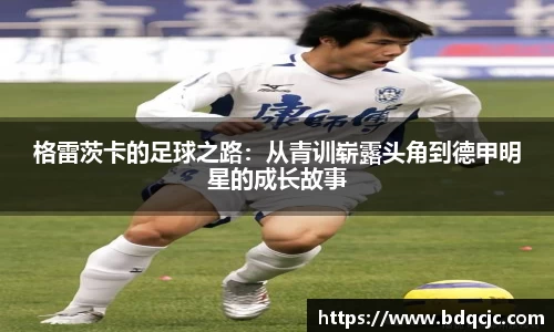 德赢官方